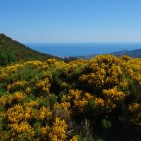 Coll de Banyuls 18