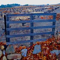Portes de vignes 17