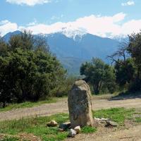 Prades_Menhir de Terme Montcamill
