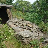 Espolla_Dolmen del Mas Girarols I