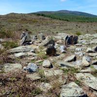 Ria-Sirach_Dolmen du Prat Clos