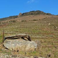 Collioure_Le Rimbau_Cova de l'Alarb