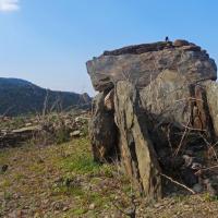Collioure_Le Rimbau_Cova de l'Alarb