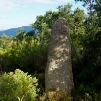Espolla_Menhir dels Rocs Blancs o del Castellar