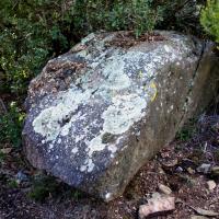 Saint-Jean d'Albère_Menhir Na Cristiana