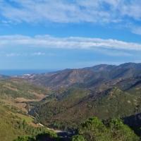 Coll de Banyuls 21