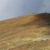 Canigou 22