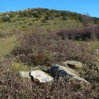 Coll de Banyuls 22