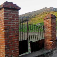 Portes de vignes 22