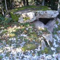 Corsavy_Dolmen du Pla Castellar