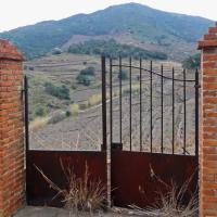 Portes de vignes 23