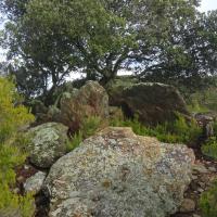 Saint-Michel de Llotes_Dolmen du Mas Payrot