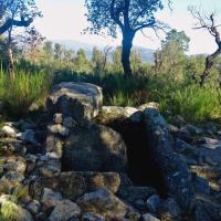 La Jonquera_Dolmen dels Estanys II