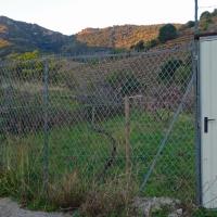 Portes de vignes 25