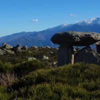 Eus-Molitg-les-Bains_Dolmen du Coll de Tribes
