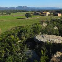 La Jonquera_Dolmen dels Estanys III
