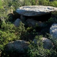 La Jonquera_Dolmen dels Estanys III