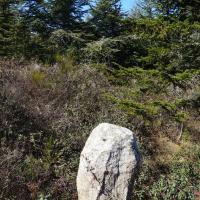 Trévillach_Menhir Sequera