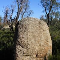 La Jonquera_Menhir dels Estanys II