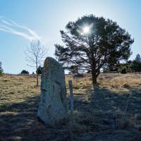 Eyne_Menhir del Coll de la Perxa III