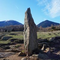 Eyne_Menhir del Pla del Bac ou Pla del Bosc ou del Port ou de la Bassouse