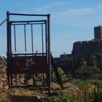 Portes de vignes 31