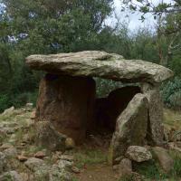 Felluns_Cauna del Moro