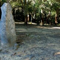 Maçanet de Cabrenys_Pedra dreta o Roc d'en Rotllan