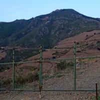 Portes de vignes 34