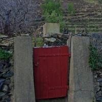 Portes de vignes 35