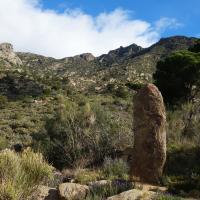 Palau-Saverdera_Menhir d'en Poet