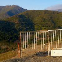 Portes de vignes 37