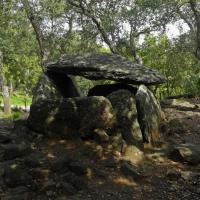 Maureillas_Dolmen de la Siureda