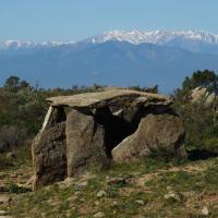 Pau_Dolmen de les Vinyes Mortes I
