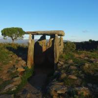 Pau_Dolmen de les Vinyes Mortes I