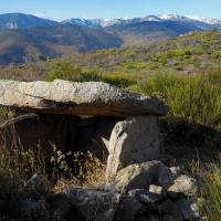 Molitg-les-Bains_Dolmen du Cortal Fosset ou du Pla de l'Arca