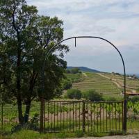 Portes de vignes 40