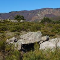 Mosset_Dolmen du Grabas de la Clauze