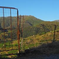Portes de vignes 41