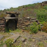 Rabos_Dolmen de Comes Llobes