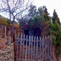 Portes de vignes 43