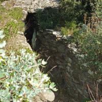 Rabos_Dolmen del Solar d'en Gibert