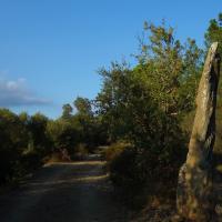 Rabos_Menhir del Mas Roqué