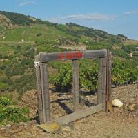 Portes de vignes 47