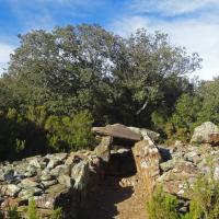 Saint-Michel-de-Llotes_Dolmen d'al Fornàs