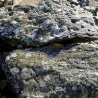 Saint-Michel-de-Llotes_Dolmen d'al Fornàs