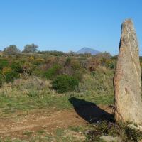 Roses_Menhir de la Casa Cremada I