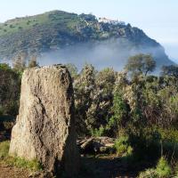 Roses_Menhir de la Casa Cremada IV