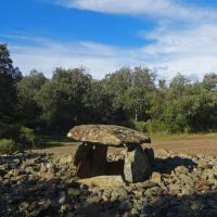 Saint-Michel-de-Llotes_Dolmen de la Creu de la Llosa