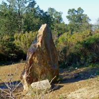 Roses_Menhir de la Casa Cremada II